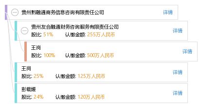 贵州黔融通商务信息咨询有限责任公司 王岗 工商 风险信息 天眼查